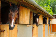free Llangwyfan stable construction quotes